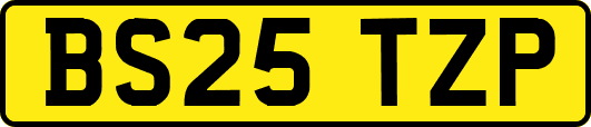 BS25TZP
