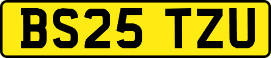 BS25TZU