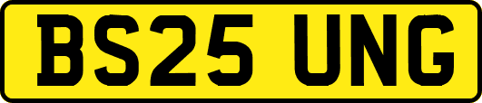 BS25UNG