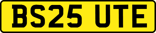 BS25UTE