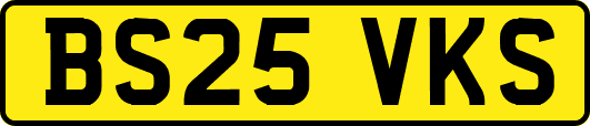 BS25VKS
