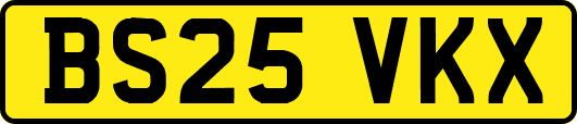 BS25VKX