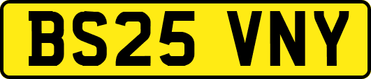 BS25VNY