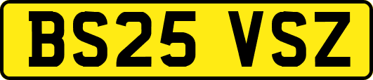 BS25VSZ