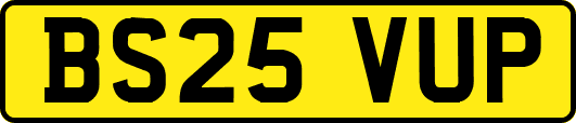 BS25VUP