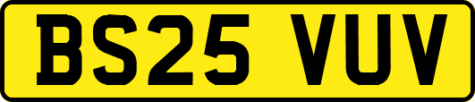 BS25VUV