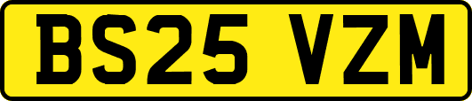 BS25VZM