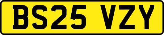 BS25VZY