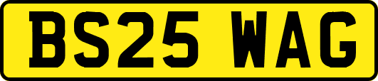 BS25WAG