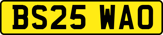 BS25WAO