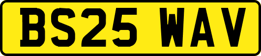 BS25WAV