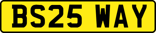 BS25WAY