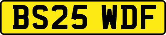 BS25WDF