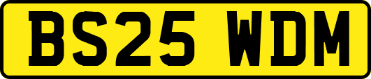 BS25WDM