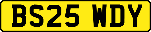 BS25WDY