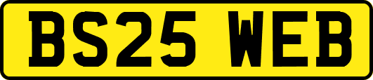 BS25WEB