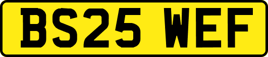 BS25WEF