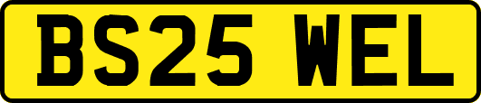 BS25WEL