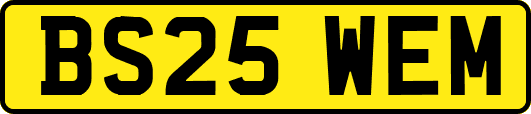BS25WEM