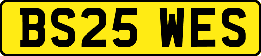 BS25WES