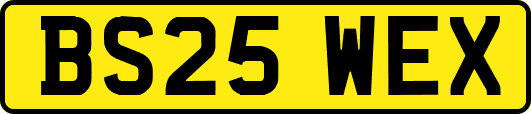 BS25WEX