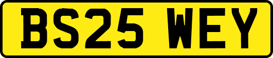 BS25WEY