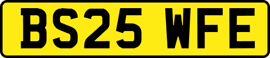 BS25WFE