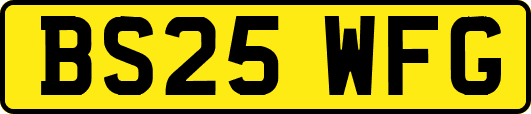 BS25WFG