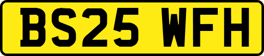 BS25WFH
