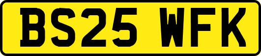 BS25WFK