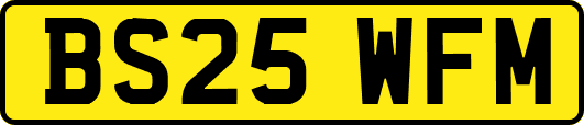 BS25WFM