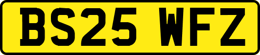 BS25WFZ