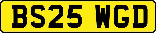 BS25WGD