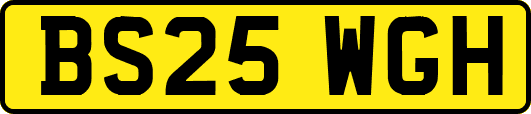 BS25WGH