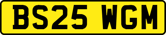 BS25WGM