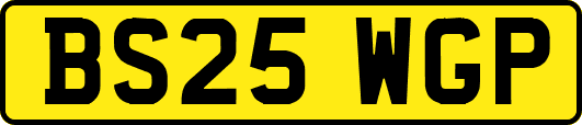 BS25WGP