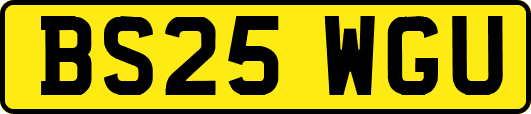 BS25WGU