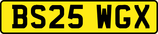 BS25WGX