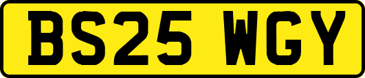 BS25WGY