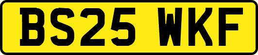 BS25WKF