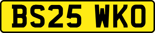 BS25WKO