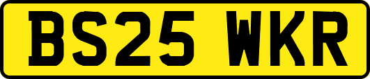 BS25WKR