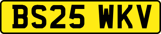 BS25WKV