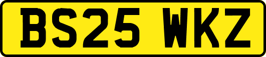 BS25WKZ