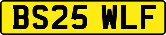 BS25WLF