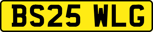 BS25WLG