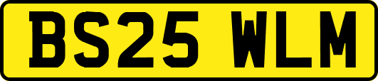 BS25WLM