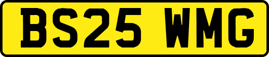 BS25WMG