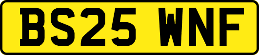 BS25WNF