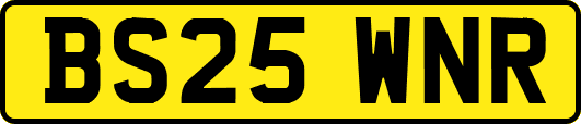 BS25WNR